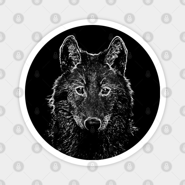 Dramabite Wild grey wolf drawing Magnet by dramabite